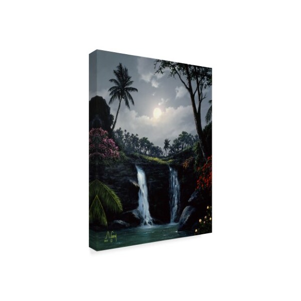 Anthony Casay 'Waterfall 1' Canvas Art,35x47